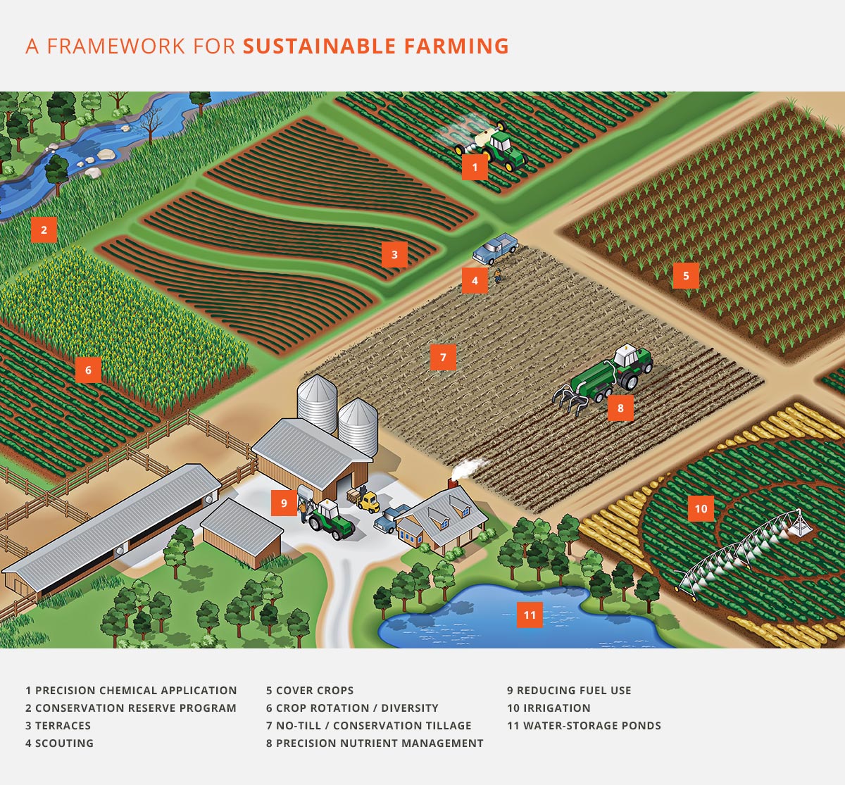 Sustainability Starts on the Farm Infographic